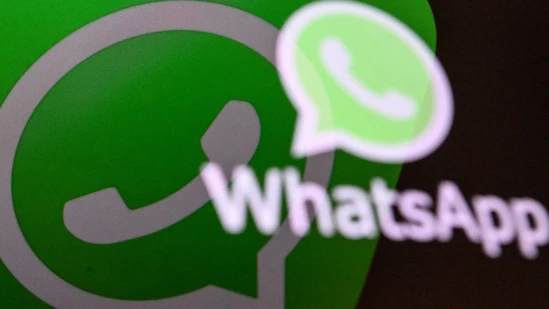 使用跨境王完成WhatsApp号码采集后，如何检测WhatsApp号码？